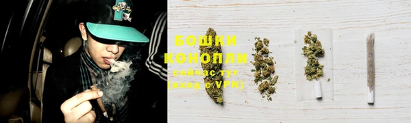 хмурый Дедовск