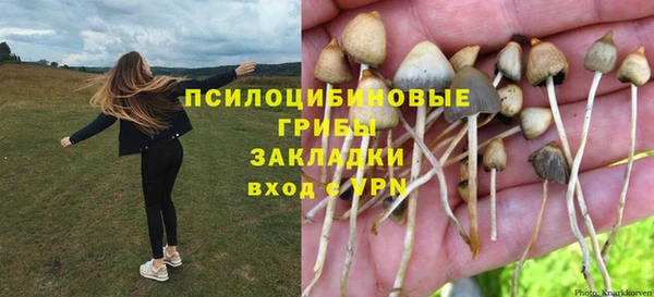 мескалин Нефтегорск