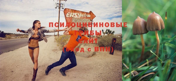 а пвп мука Нея